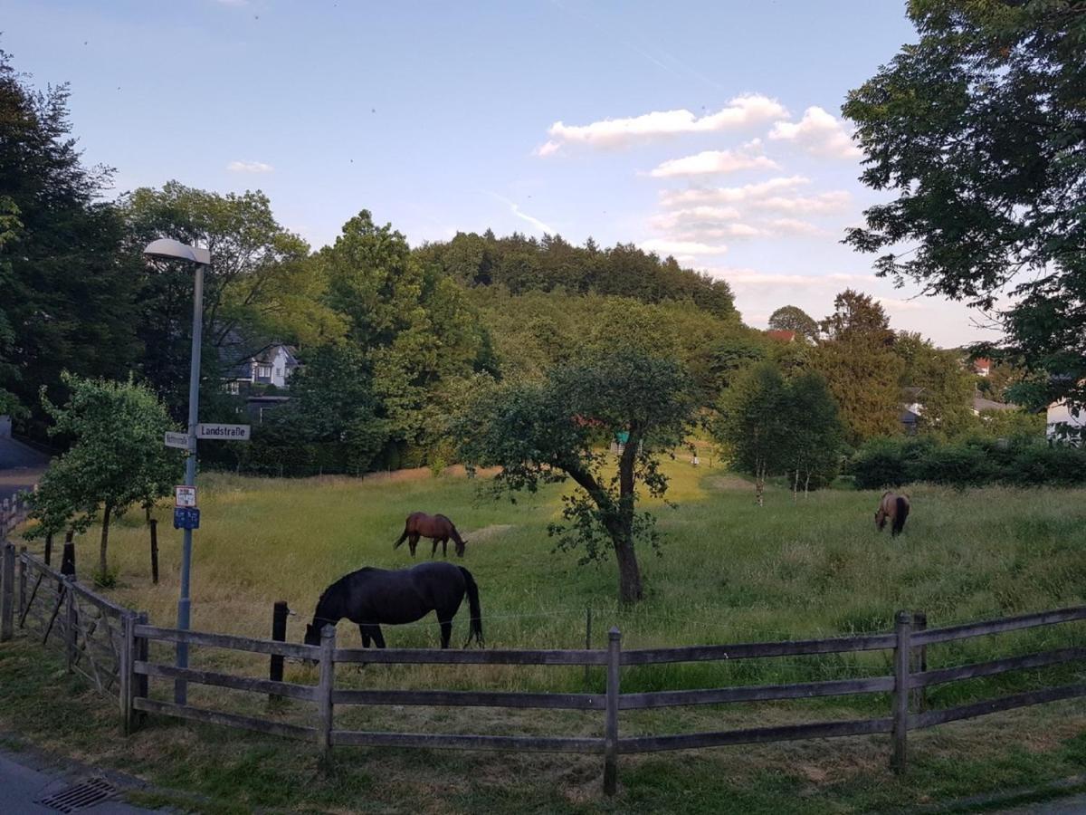 Ferienwohnung Drei Lilien Gummersbach Eksteriør billede